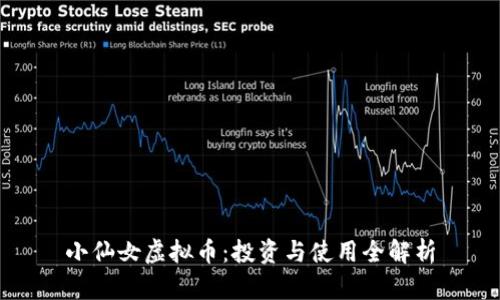 小仙女虚拟币：投资与使用全解析