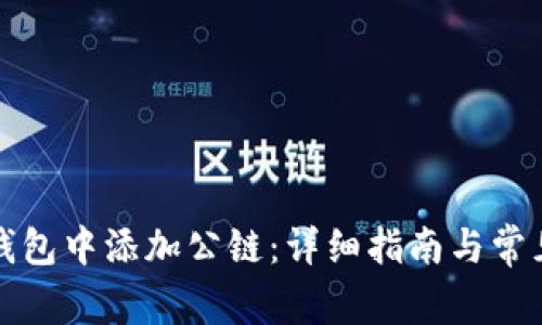 如何在TP钱包中添加公链：详细指南与常见问题解答