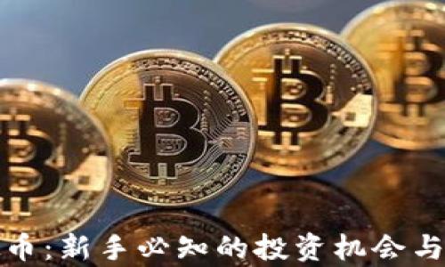 
领圣虚拟币：新手必知的投资机会与风险分析