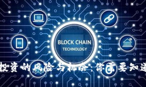 虚拟币投资的风险与机会：你需要知道的真相