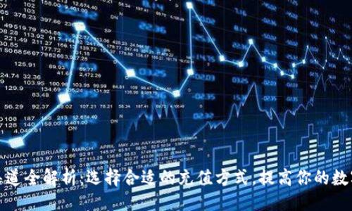 ### 
TP钱包充值渠道全解析：选择合适的充值方式，提高你的数字资产安全性