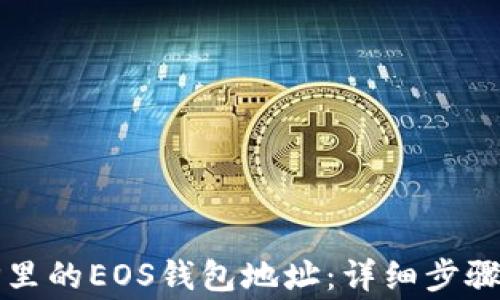 
如何查看TP里的EOS钱包地址：详细步骤与注意事项
