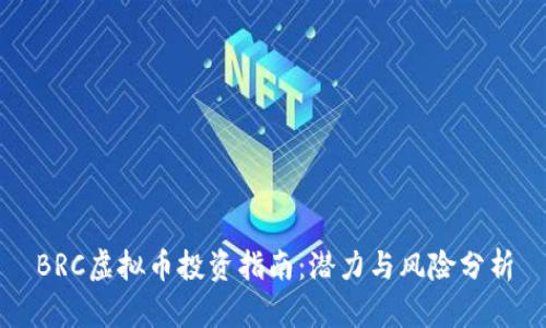 BRC虚拟币投资指南：潜力与风险分析