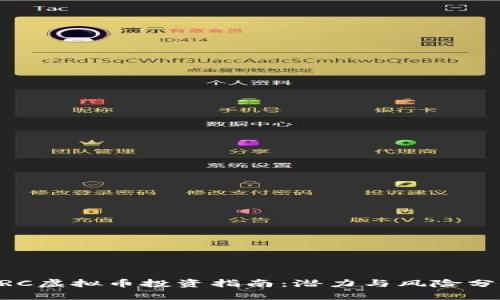 BRC虚拟币投资指南：潜力与风险分析