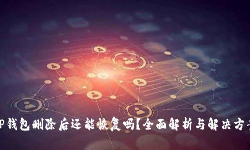 TP钱包删除后还能恢复吗？全面解析与解决方案