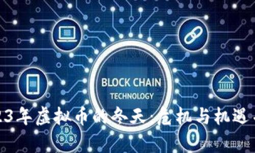 2023年虚拟币的冬天：危机与机遇并存