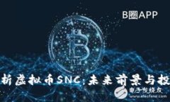 全面解析虚拟币SNC：未来