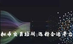 全面解析虚拟币交易场所：选择合适平台的关键